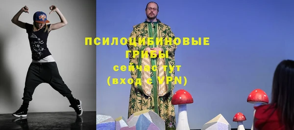 эйфоретик Осташков