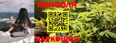 прущие грибы Донецк