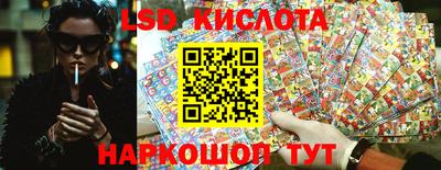 прущие грибы Донецк