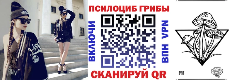 MEGA вход  Чита  Галлюциногенные грибы Psilocybe 