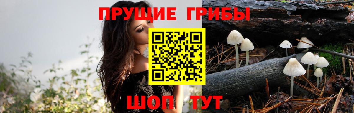 Галлюциногенные грибы прущие грибы Чита
